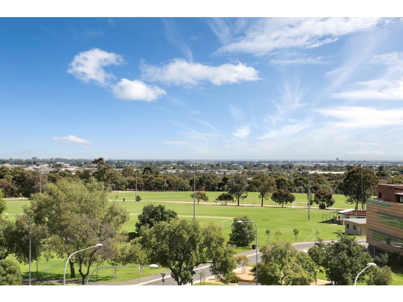 521/304 Waymouth Street, Adelaide SA 5000