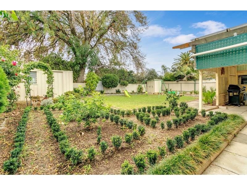 17 Canis Avenue, Hope Valley SA 5090