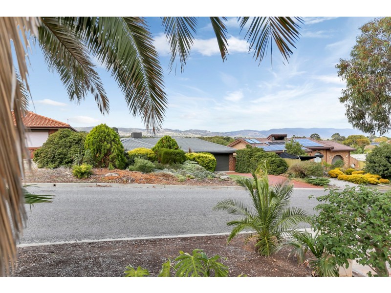 8 Nankeen Street, Modbury Heights SA 5092