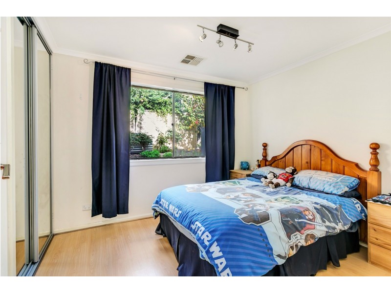 2 Birkdale Close, Fairview Park SA 5126