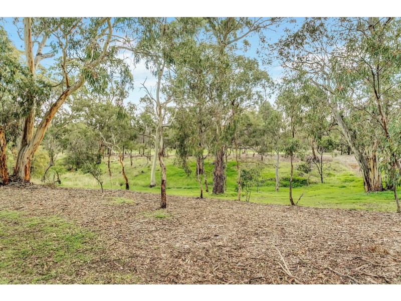 2 Birkdale Close, Fairview Park SA 5126