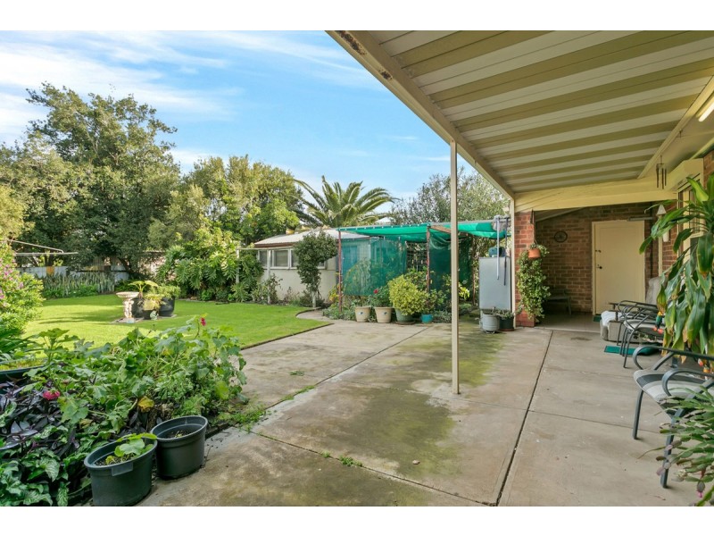 43 Marmion Avenue, Blair Athol SA 5084