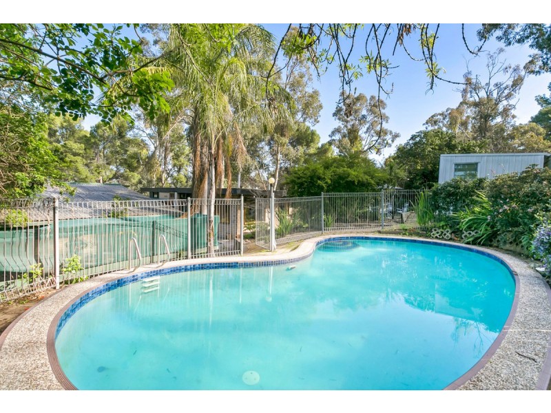 8 Wattlebird Drive, Highbury SA 5089
