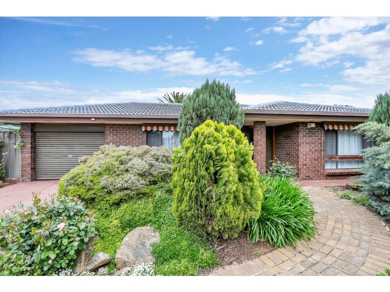 28 Noritake Road, Modbury Heights SA 5092