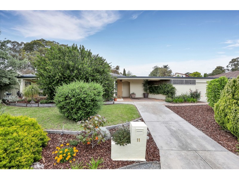 11 Wongabeena Drive, Surrey Downs SA 5126