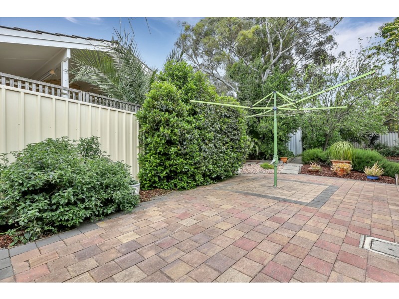 11 Wongabeena Drive, Surrey Downs SA 5126