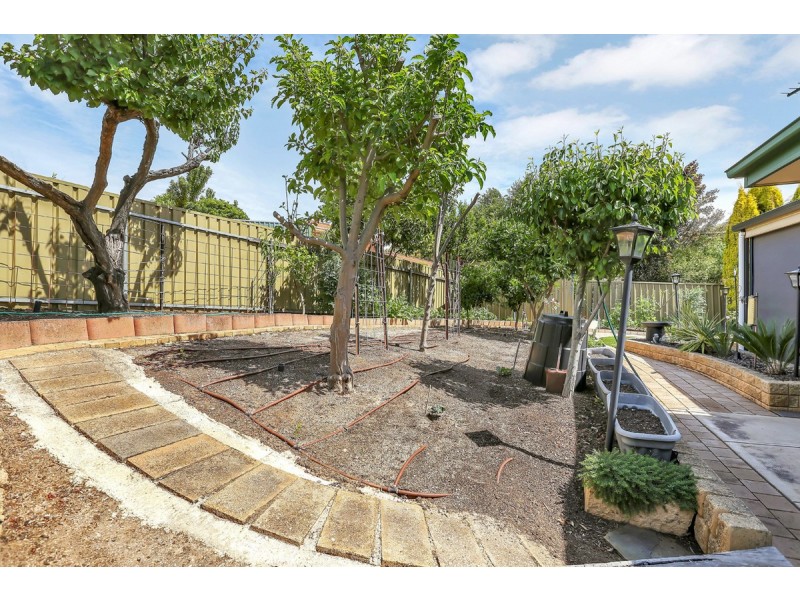 19 Glenbrae Close, Wynn Vale SA 5127