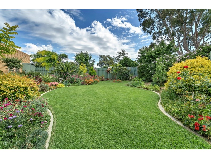 12 Highfield Drive, Tea Tree Gully SA 5091