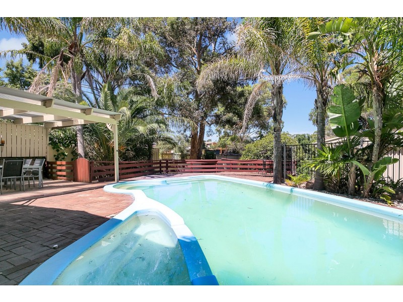 1 Nunyah Drive, Banksia Park SA 5091