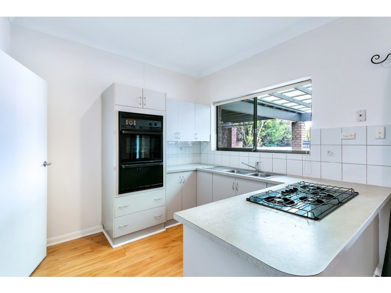 8 Primrose Avenue, Paradise SA 5075