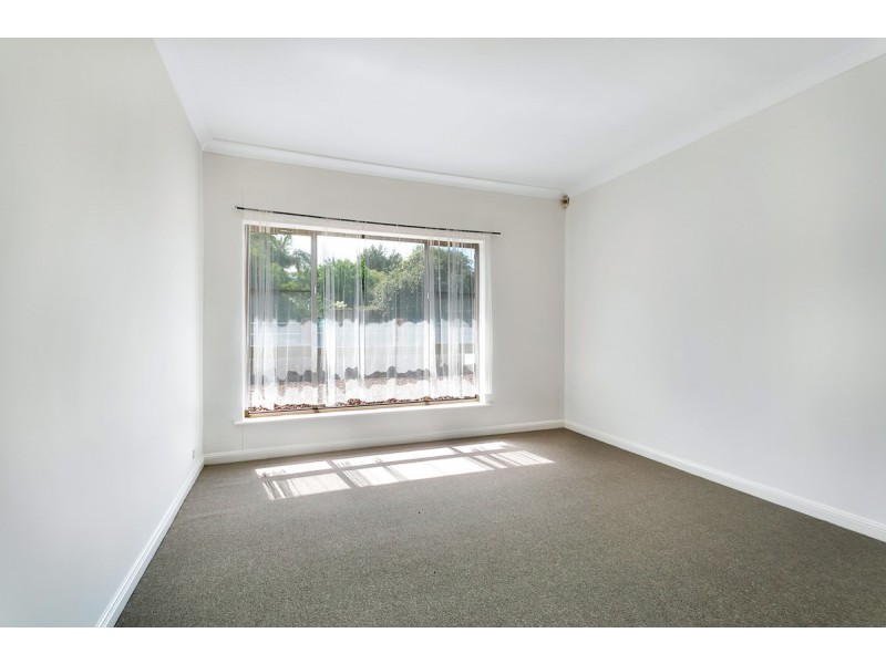 8 Primrose Avenue, Paradise SA 5075