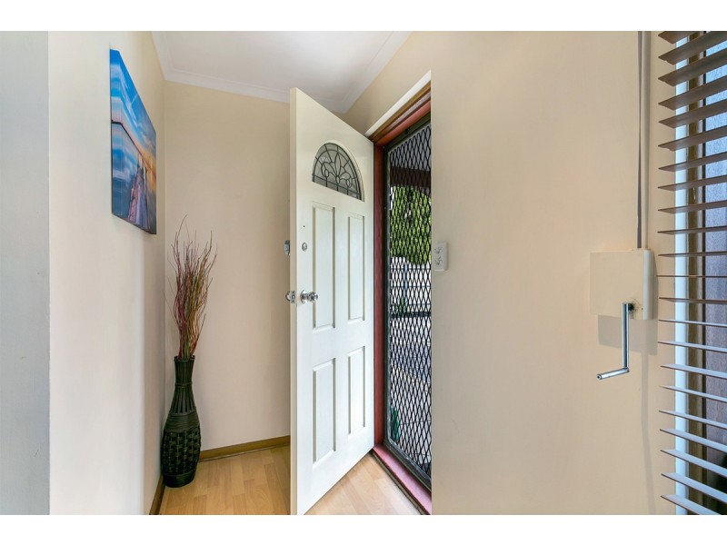 29 Barmera Avenue, Hope Valley SA 5090