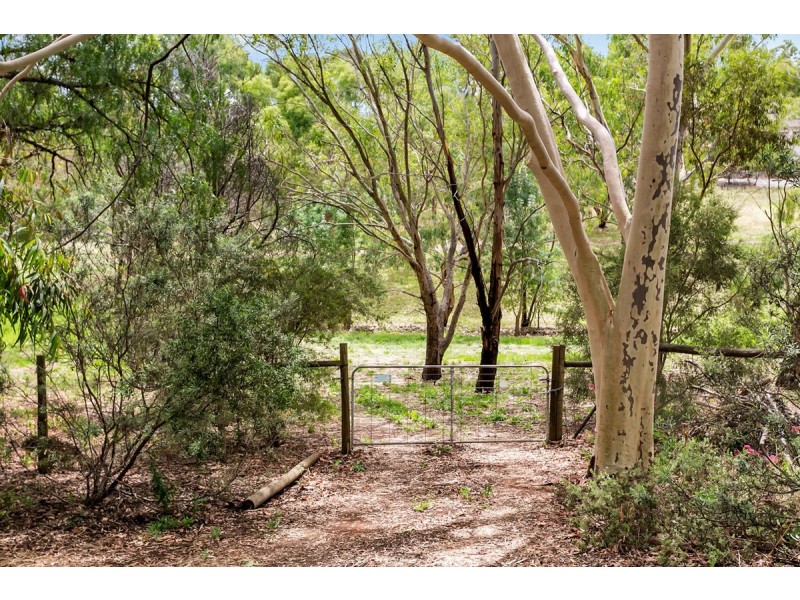 18 Lorna Court, One Tree Hill SA 5114