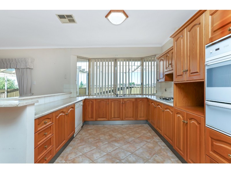 3 Newark Court, Greenwith SA 5125