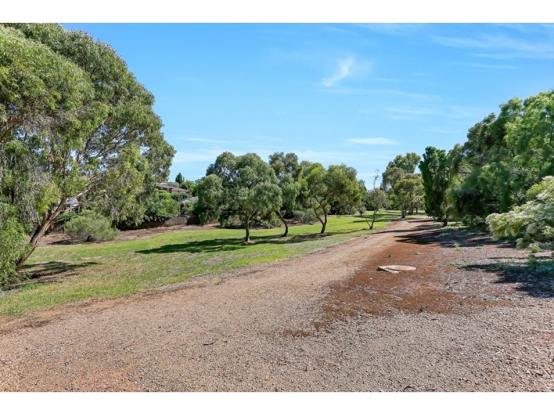 3 Newark Court, Greenwith SA 5125