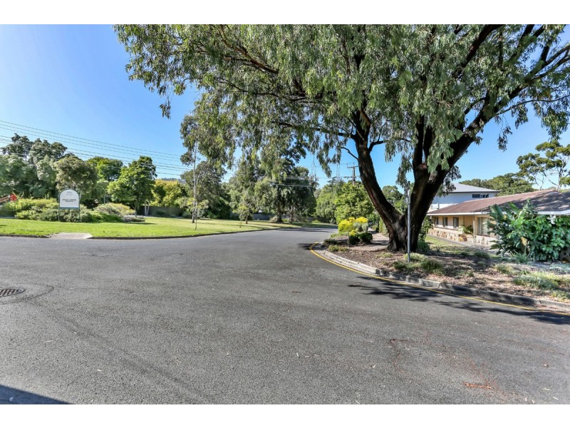 8 Bruce Avenue, Rostrevor SA 5073