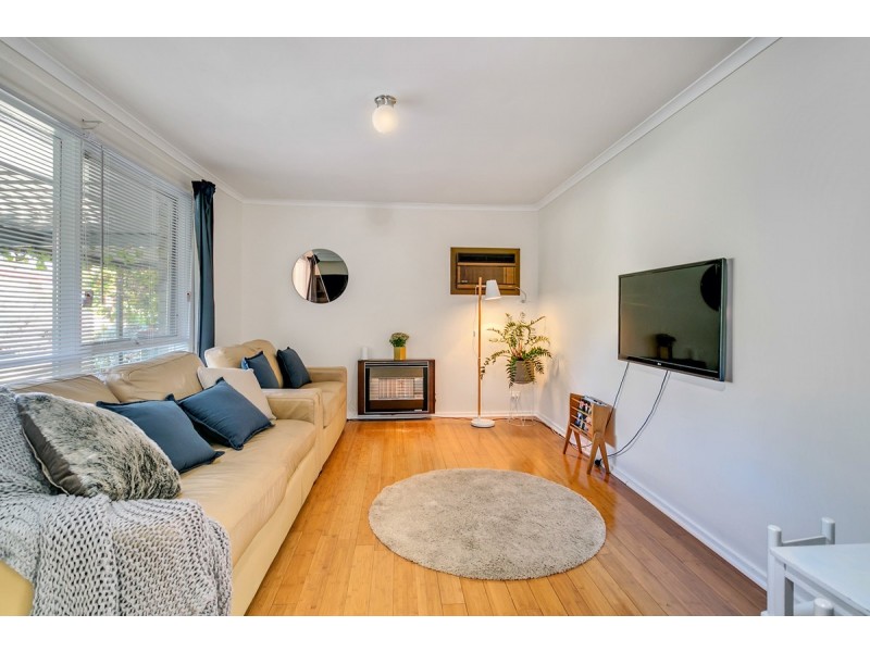 6 Callitris Avenue, Surrey Downs SA 5126