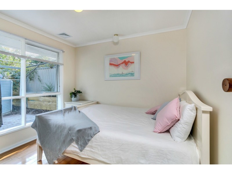 6 Callitris Avenue, Surrey Downs SA 5126