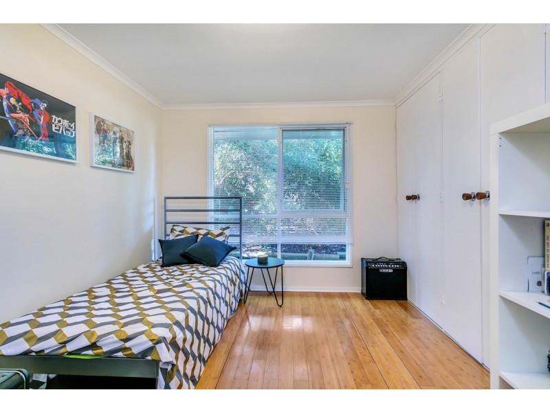 6 Callitris Avenue, Surrey Downs SA 5126