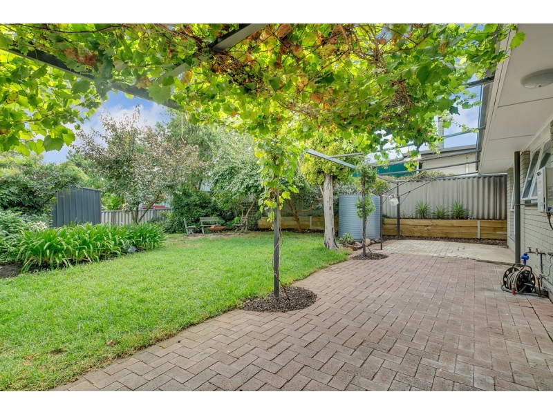 6 Callitris Avenue, Surrey Downs SA 5126