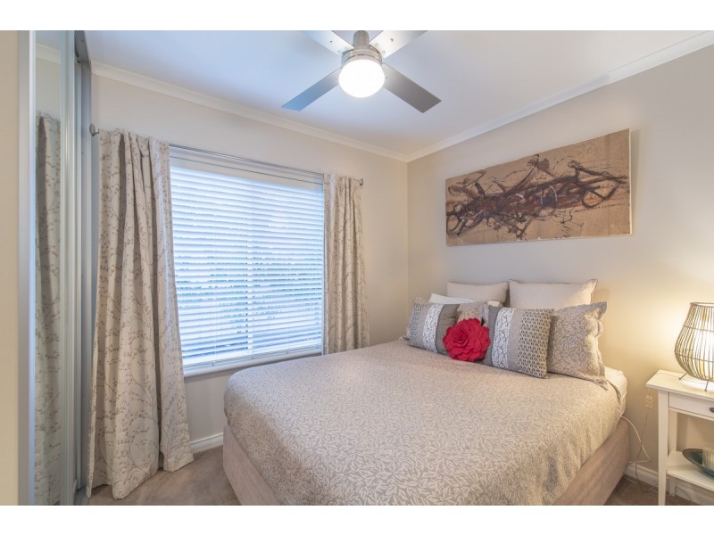 29 Ormond Avenue, Clearview SA 5085