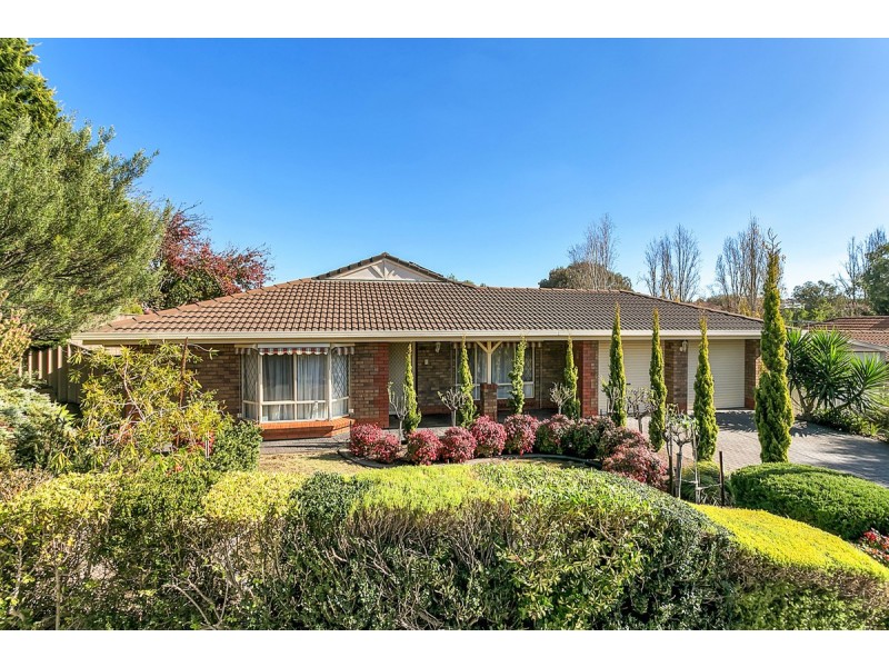 8 Coley Place, Greenwith SA 5125