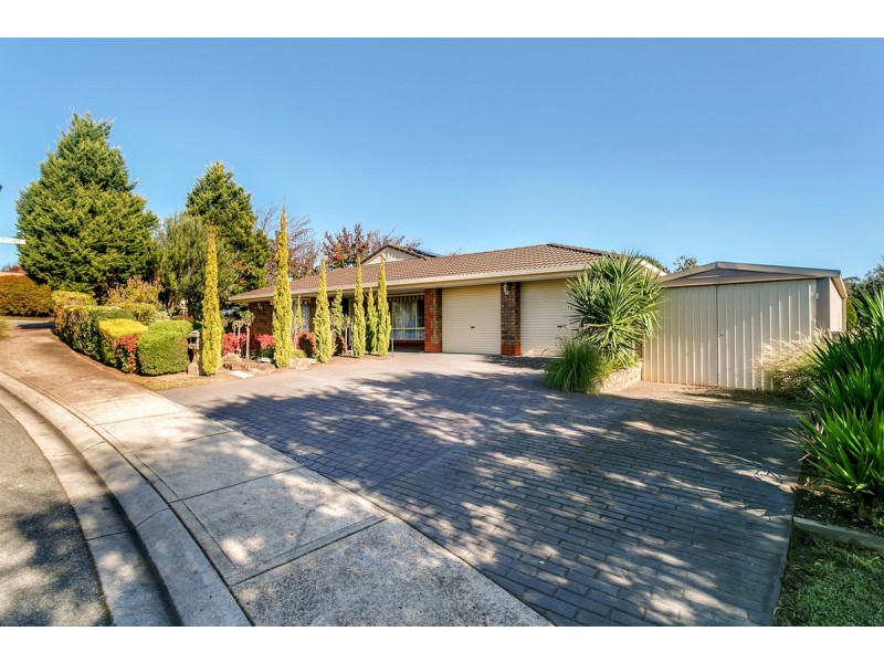 8 Coley Place, Greenwith SA 5125