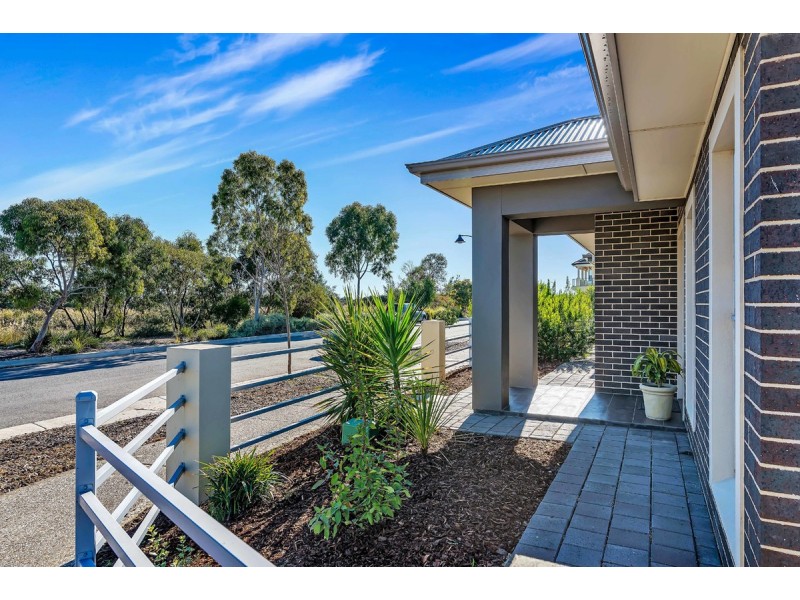66 Shoalhaven Circuit, Mawson Lakes SA 5095