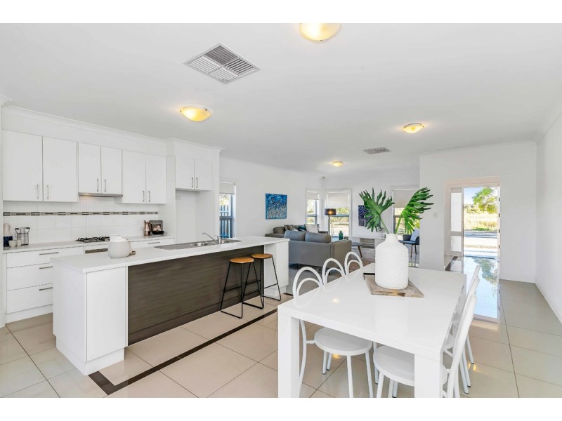 66 Shoalhaven Circuit, Mawson Lakes SA 5095