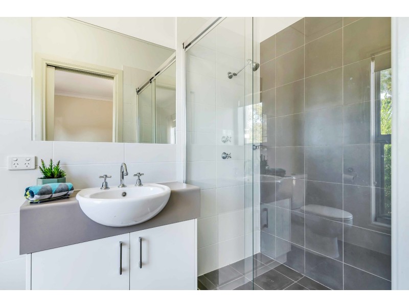 66 Shoalhaven Circuit, Mawson Lakes SA 5095
