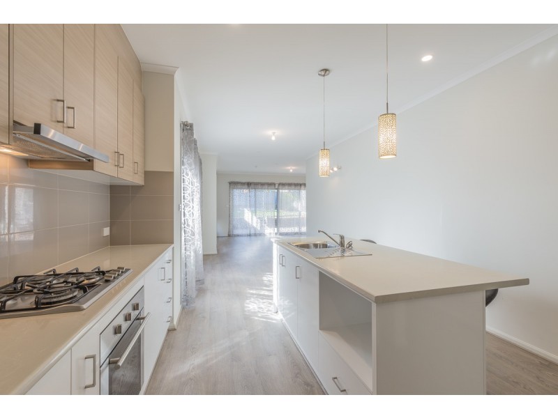 16 Montrose Avenue, Clearview SA 5085