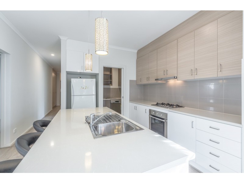 16 Montrose Avenue, Clearview SA 5085