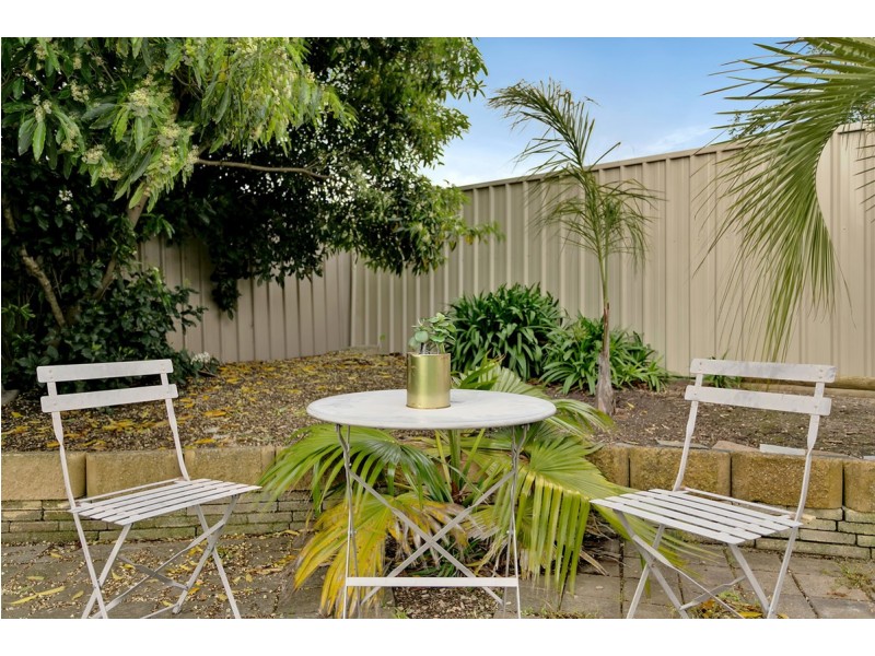 79 Pegasi Avenue, Hope Valley SA 5090