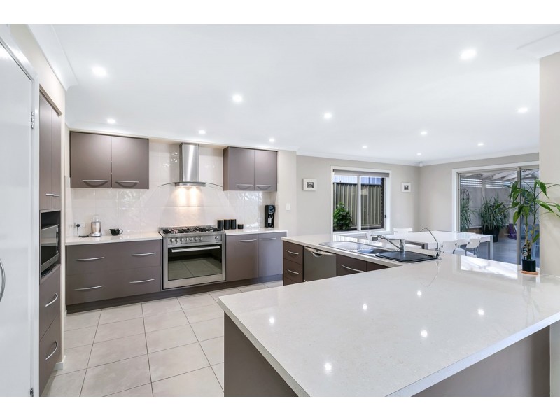 41 Rose Street, Prospect SA 5082