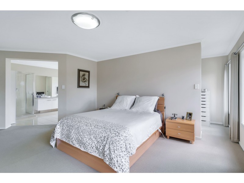 41 Rose Street, Prospect SA 5082