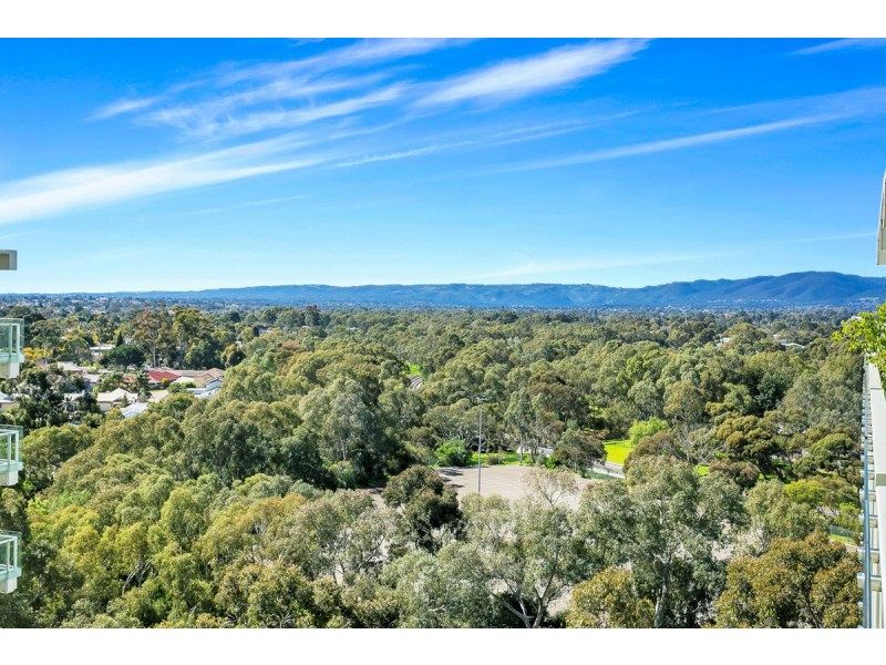 809/33 Warwick Street, Walkerville SA 5081