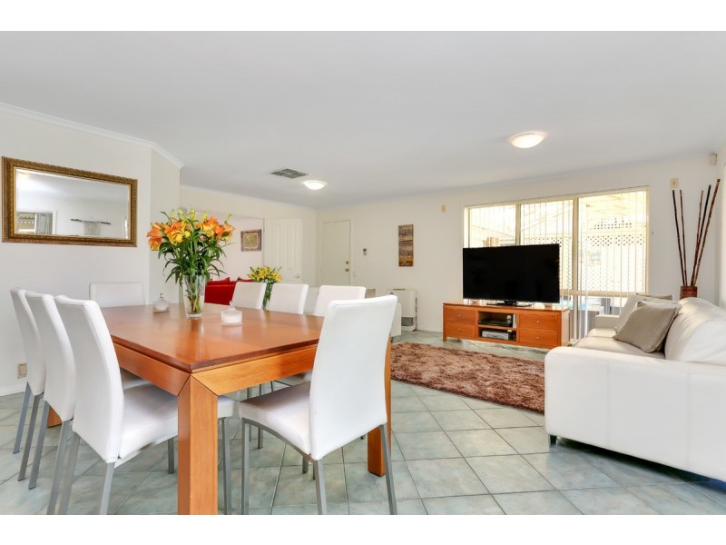 10 Rodeo Street, Walkley Heights SA 5098