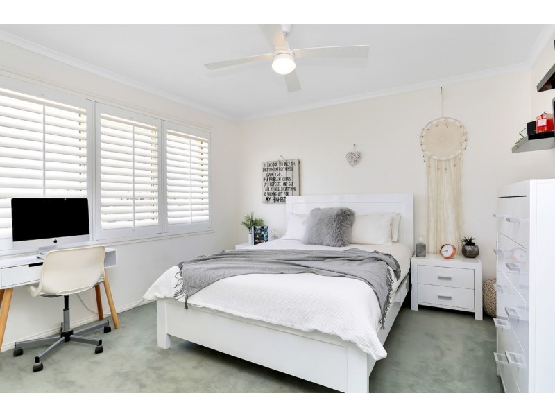 10 Rodeo Street, Walkley Heights SA 5098