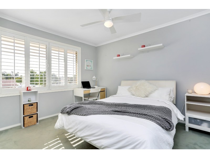 10 Rodeo Street, Walkley Heights SA 5098