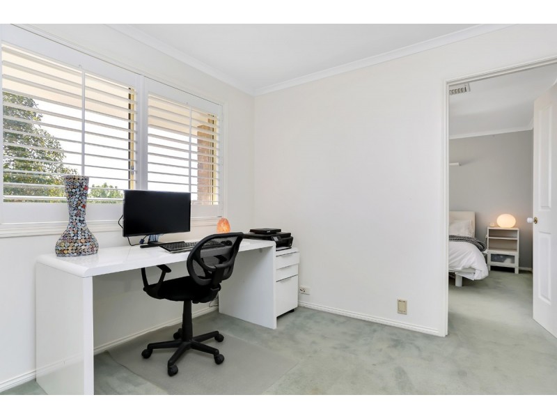 10 Rodeo Street, Walkley Heights SA 5098