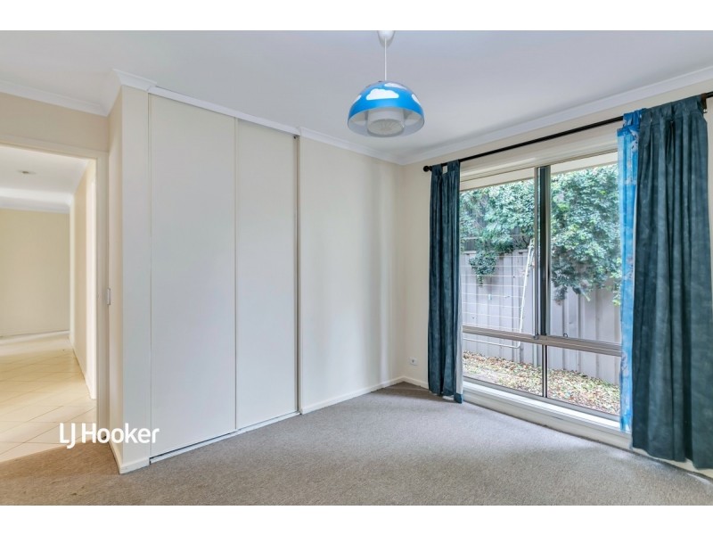 11 Litchfield Avenue, Blakeview SA 5114