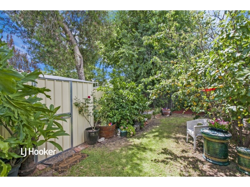 12 Everard Terrace, Forestville SA 5035