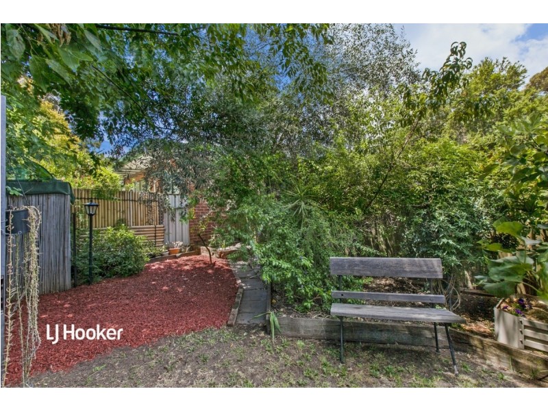 12 Everard Terrace, Forestville SA 5035