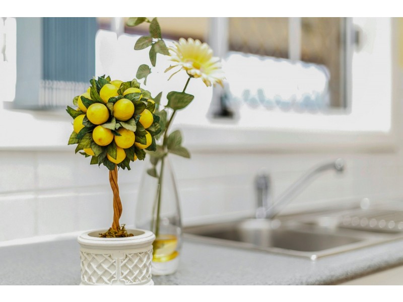 7 Pardoo Drive, Modbury SA 5092