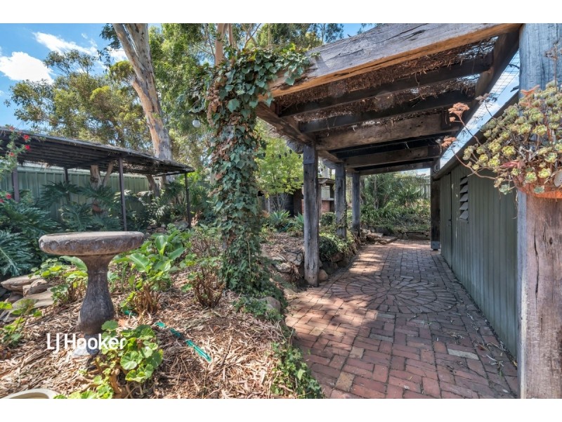 35 Cinnamon Avenue, St Agnes SA 5097