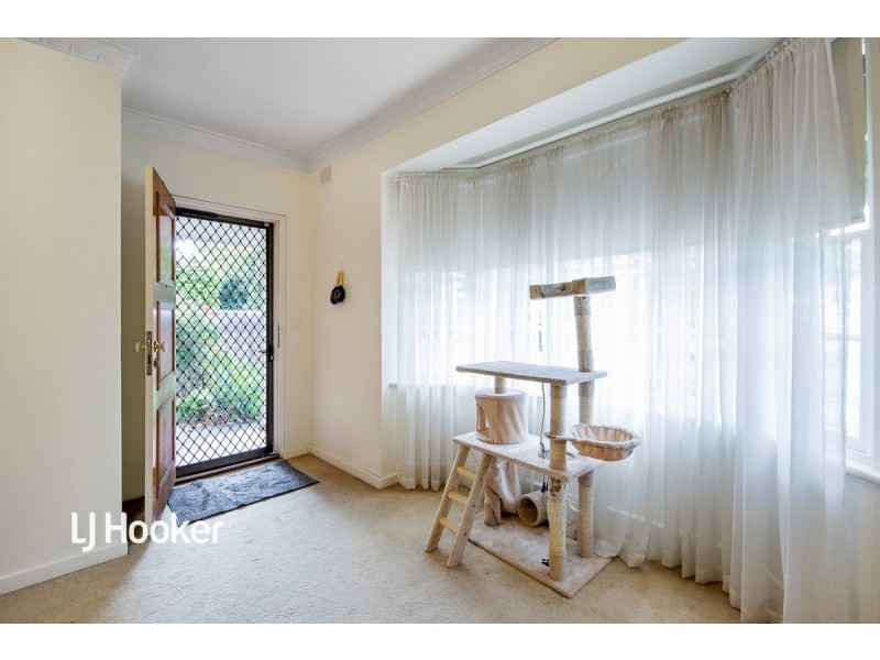 14 Barker Grove, Toorak Gardens SA 5065