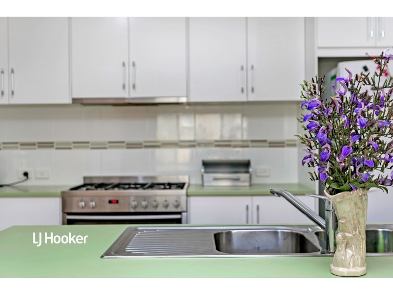 25 Britten Crescent, Modbury SA 5092