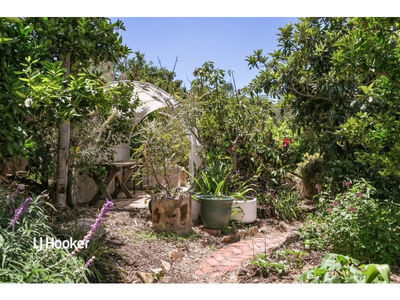 25 Britten Crescent, Modbury SA 5092