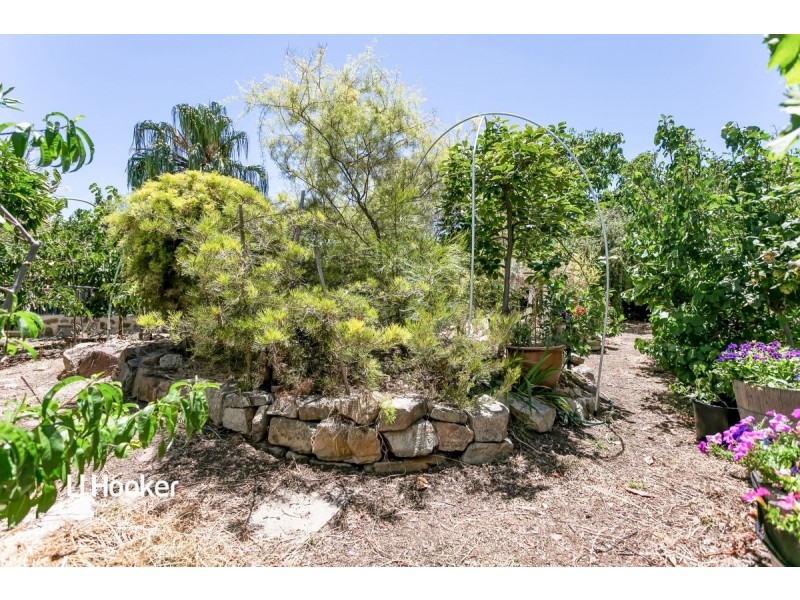 25 Britten Crescent, Modbury SA 5092