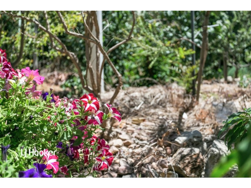 25 Britten Crescent, Modbury SA 5092